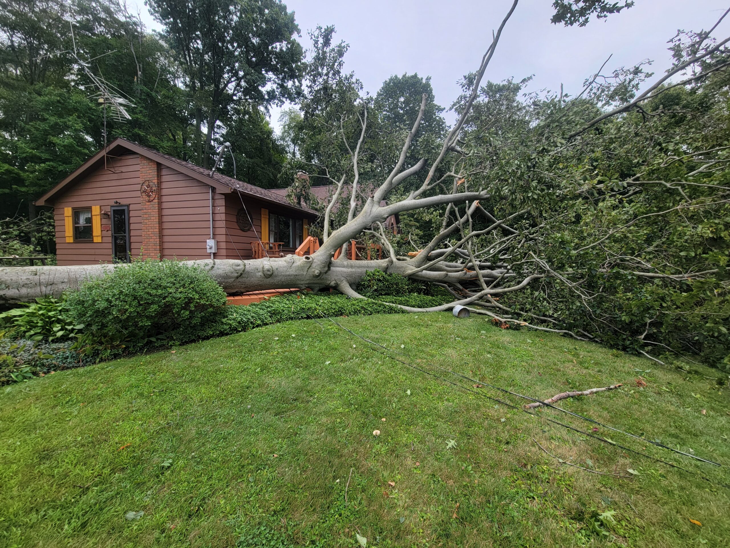 knapp storm damage before